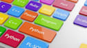 be your programmer and help you in python, java and c coding problems