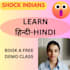 teach you hindi from beginner to advance level