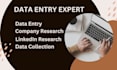 do data entry, company research,  linkedin  research, data collection