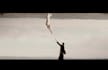 edit wedding clip, highlight, teaser, promo, movie