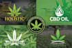 create tree eco farm oil hemp marijuana logo