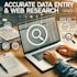 provide accurate excel data entry and web research services