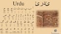 teach urdu, english and arabic language skillfully