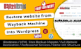restore website from wayback machine web archive