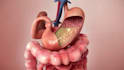 do 3d medical animation video surgery animation surgical model 3d dental video