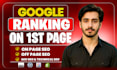 do onpage seo geo aeo service for wordpress shopify wix squarespace website