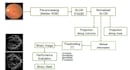 do arduino programming, python and control system projects