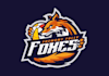 design unique folly foxes team logo