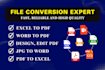 do pdf to excel or word, data entry, file conversion and fillable pdf form