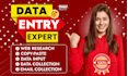 perform accurate data input, web research, copy paste work, and excel data entry