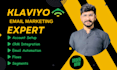 be your expert klaviyo email marketer