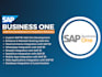 develop and customize sap business one add ons and integrations