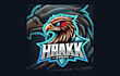 do creative hawk head mascot logo with free source file