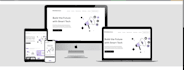 develop custom applications websites and saas