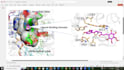 do molecular docking  bioinformatics and biorender