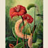 paint watercolour botanical illustrations