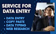 accurate and efficient data entry expert