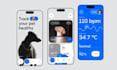 develop pet sitting app, dog trainer app, dog walking app with react native