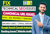 fix 404 broken links, gsc indexing issues and canonical issues