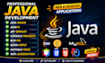 do java swing, javafx, servlet jsp , console project desktop app with database