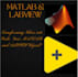 do matlab and labview related projects