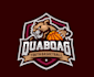 design quaoar youth basketball logo