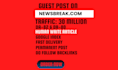 submit guest post on newsbreak,com do follow backlinks premium guest post