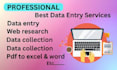 do data entry, data analysis, and virtual assistant tasks professionally
