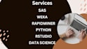 help you in sas, weka, rstudio, excel, python, tableau, powerbi and spss