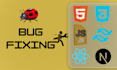 do htmlcss js react bug fixing