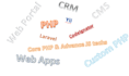 build custom web portals, cms, or CRM systems with database, API integration