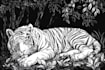 draw an animal and botanical illustration
