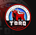 design mobile detailing business logo