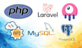 develope web application using php laravel, livewire