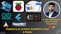 do ai  integrate arduino, esp32, raspberry pi, linux,mobile, web app programming