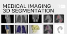 offer medical annotation services for ai model training