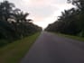 capture the nature for you