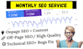 do monthly SEO service