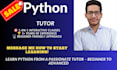 teach you python programming