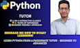 teach you python programming