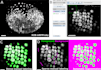 do fast data analysis, visualization, and predictions in python