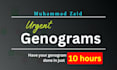 create a detailed and accurate family genogram in 10 hours