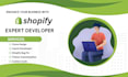 do shopify custom coding, fix bugs, edit liquid code, and clone websites