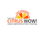make amazing carpet and duct cleaning logo