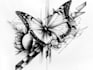 draw custom tattoo designs