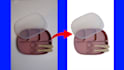 do product picture editing in 1 day