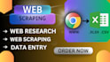 do web scraping, data mining, data enrichment