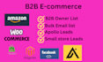 do b2b ecommerce leads, ecommerce store owner leads