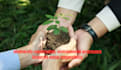 write biodiversity conservation essy,environmental pollution control assigned