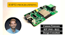 develop custom esp32 firmware for your devices and systems